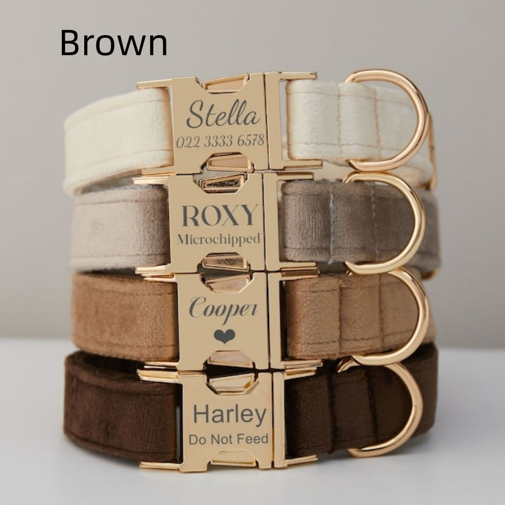 The Heirloom Velvet Suite | Personalized Collar, Bow & Leash Set